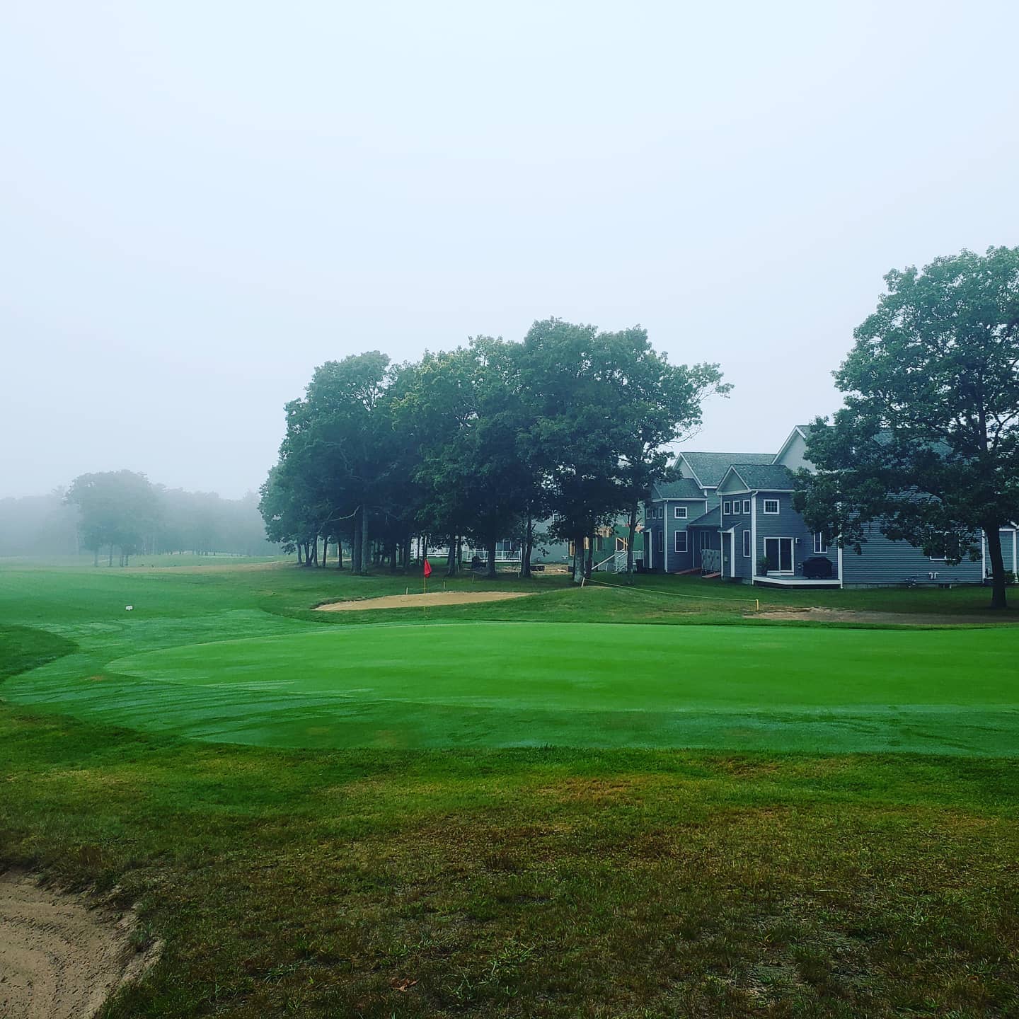 Image of golf ball on tee on grass.